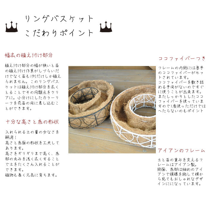 リングバスケット ホワイト M 寄せ植え ハンギングバスケット