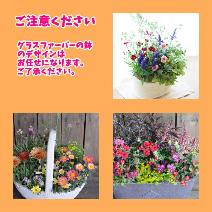 高品質プレミアム寄せ植え