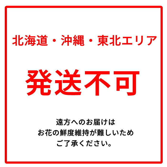 高品質プレミアム寄せ植え