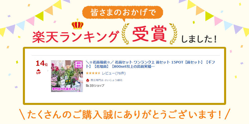 プレミアム花苗15ポットセット【送料無料・北海道沖縄発送不可】