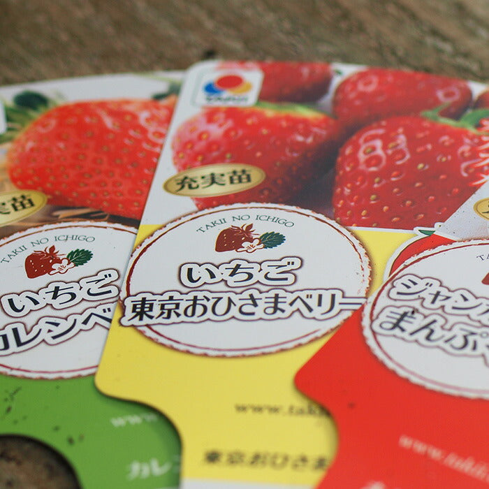 タキイのイチゴ 3品種セット