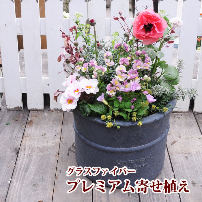 高品質プレミアム寄せ植え