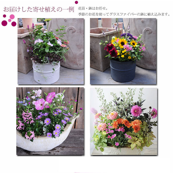 高品質プレミアム寄せ植え