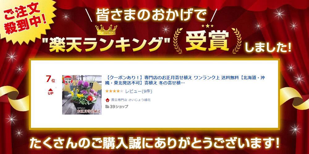 専門店のお正月寄せ植え セラアート鉢