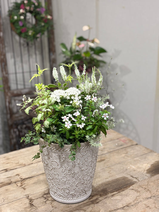 寄せ植え