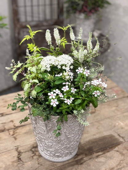 寄せ植え