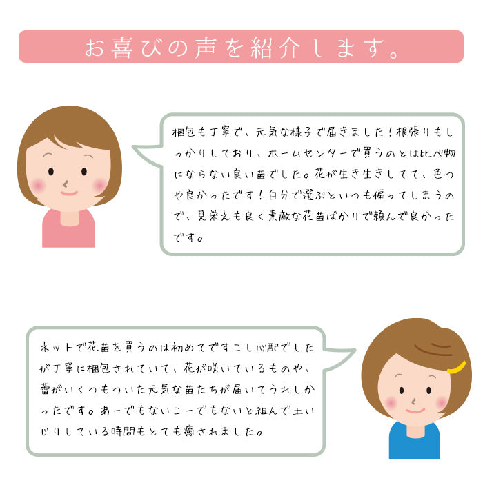 プレミアム花苗１５ポットセット【送料無料・北海道沖縄発送不可】