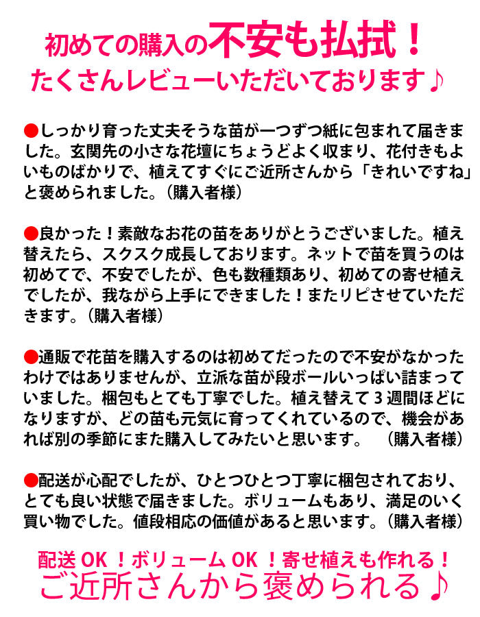 プレミアム花苗１５ポットセット【送料無料・北海道沖縄発送不可】