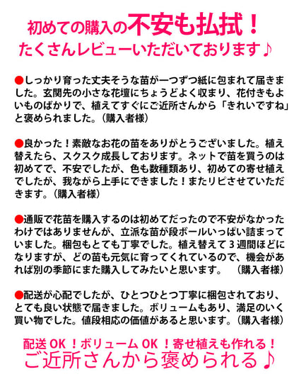 プレミアム花苗１５ポットセット【送料無料・北海道沖縄発送不可】