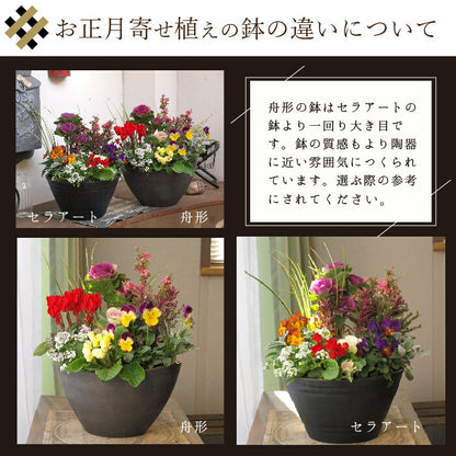 専門店のお正月 舟形 寄せ植え 選べる3色の鉢（ベージュ、ホワイト、ダークグレー）