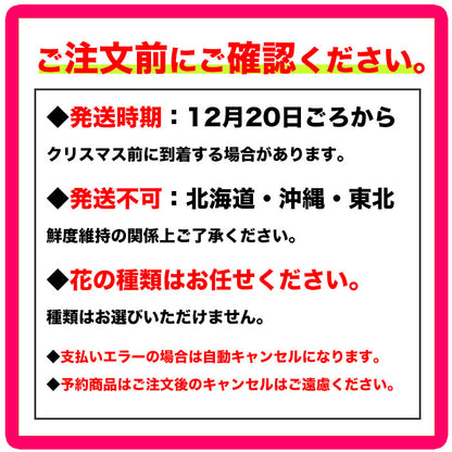 専門店のお正月 舟形 寄せ植え 選べる3色の鉢（ベージュ、ホワイト、ダークグレー）