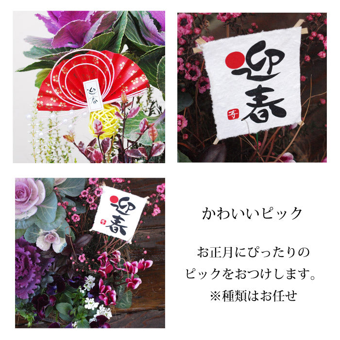 専門店のお正月 舟形 寄せ植え 選べる3色の鉢（ベージュ、ホワイト、ダークグレー）
